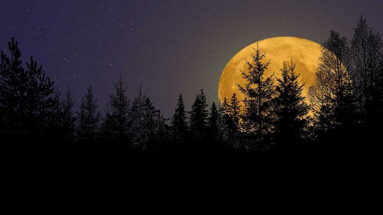    مباشرة من مدينة Blaye- Bourdeaux